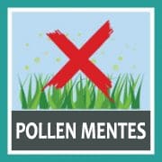 Pollen mentes
