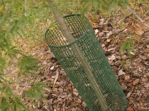 square mesh 10 treeguard 1 575x575